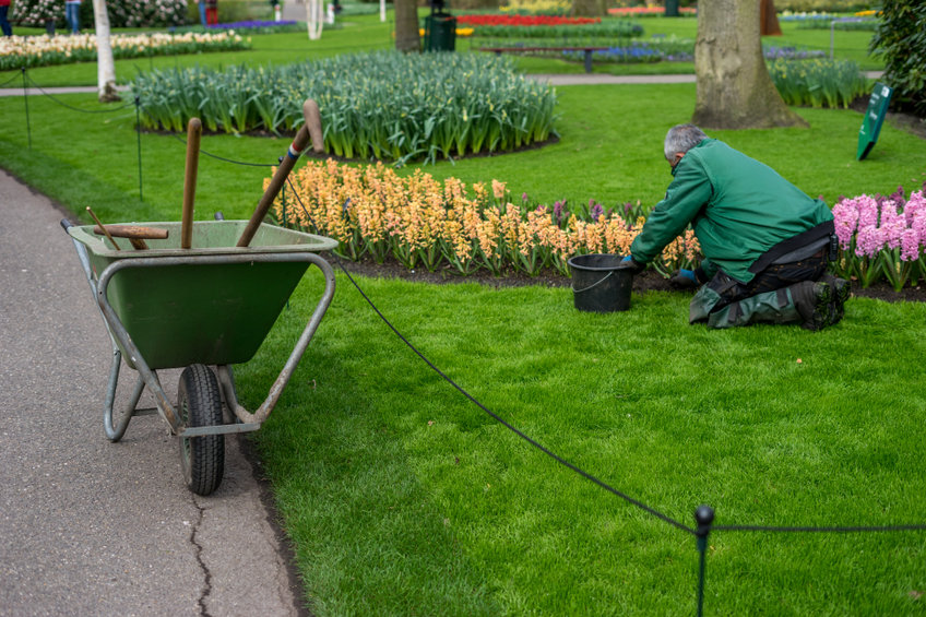 bien aménager son jardin