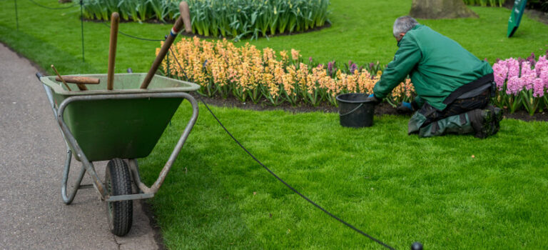 bien aménager son jardin